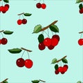 Seamless pattern with cherry Stock illustration, vector, hand drawing, design element  for printing, scrapbooking, postcard Royalty Free Stock Photo