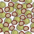 Seamless pattern of chestnuts in shell and without, prickly fruits and nuts on a white background Royalty Free Stock Photo