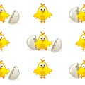 Seamless pattern chickens from eggs on white background.