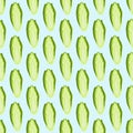 Seamless pattern Chicory cabbage on blue background. Simple ornament with lettuce