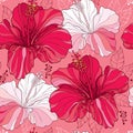 Seamless pattern with Chinese Hibiscus flower