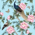 Seamless pattern with Chinese peonies and peacocks. Vector. Royalty Free Stock Photo