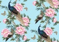 Seamless pattern with Chinese peonies and peacocks. Vector. Royalty Free Stock Photo