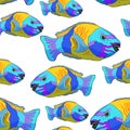 Seamless pattern Chlorurus bleekeri is Fish parrot. vector illu