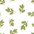 Seamless pattern with Christmas Berry