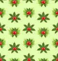 Seamless Pattern Christmas Holly Berry Royalty Free Stock Photo