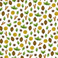 Seamless pattern with cinnamon, anise stars, pine cone and orange