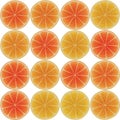 Seamless pattern with citrus-fruit Royalty Free Stock Photo