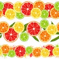 Seamless pattern with citrus fruits slices. Mix of lemon lime grapefruit and orange Royalty Free Stock Photo