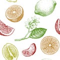 Seamless pattern with citrus fruits.