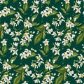 Seamless pattern with citrus tree branches made in green and white colors in a style of Spanish wedding decor