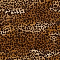 A seamless pattern of classic leopard spots ideal for textile and design use