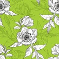 Seamless pattern with Clematis flower in white on the green background