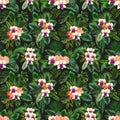 Seamless pattern of Clivia and Orchid flowers and green tropical leaves Royalty Free Stock Photo