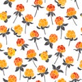 Seamless pattern with cloudberry on a white background.