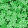 Seamless pattern with clover leaves