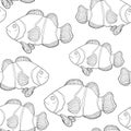 seamless pattern Clown fish amphiprienes coloring. vector illustration Royalty Free Stock Photo