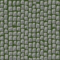 Seamless pattern of cobblestone street paving with grass.