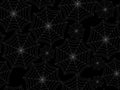 Seamless pattern with cobwebs. White spider web on a black background.