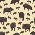 Seamless pattern. Collared peccary Pecari tajacu. Wildlife of Amazonia and South America