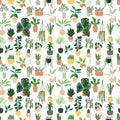 Seamless pattern with collection of hand drawn indoor house plants on white background. Collection of potted plants. Flat vector