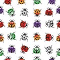 Seamless pattern with collection of lady bug