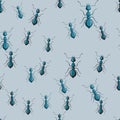 Seamless pattern colony ants on blue background. Vector insects template in flat style for any purpose. Modern animals texture Royalty Free Stock Photo