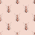 Seamless pattern colony ants on pink background. Vector insects template in flat style for any purpose. Modern animals texture Royalty Free Stock Photo