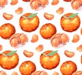 Seamless pattern of color cartoon illustrations of mandarin and citrus on white background. Vector texture Royalty Free Stock Photo