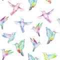 Seamless pattern of colored colibri Royalty Free Stock Photo