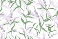 Seamless Pattern with a Colored Spearmint Parts