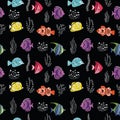Seamless pattern colored tropical Fish on black background, ornamental graphic fish, floral line pattern. Vector. concept for Royalty Free Stock Photo