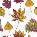 Seamless pattern of autumn leaves Seamless pattern of colorful autumn leaves with maple, rowan, birch Royalty Free Stock Photo