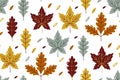 Seamless pattern with colorful autumn leaves. Texture with autumn oak leaves in Orange, Beige, Brown and Yellow. Perfect Royalty Free Stock Photo