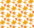 Seamless pattern with colorful autumn leaves. Vector illustration Royalty Free Stock Photo