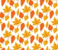 Seamless pattern with colorful autumn leaves. Vector illustration Royalty Free Stock Photo