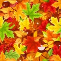 Seamless pattern with colorful autumn leaves. Vector illustration.