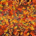 Seamless pattern with colorful autumn leaves on wooden board . Vector illustration Royalty Free Stock Photo