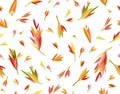 Seamless pattern colorful, autumnal leaves, isolated on white. Abstract leaves background.