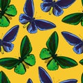 Seamless pattern with colorful big tropical butterflies, swallowtail and birdwing, papilio and ornitoptera papilionidae.