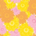 Seamless pattern colorful blooming gerbera flower for textile