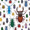 Seamless pattern with colorful bugs. Bright handdrawing of beetles Royalty Free Stock Photo