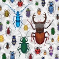 Seamless pattern with colorful bugs.