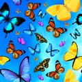 Seamless pattern with colorful butterflies against blue sky