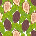 Seamless pattern colorful cocoa fruits, halves with grains and foliage on a white background.