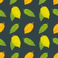 Seamless pattern colorful cocoa fruits and leaves on a dark green background