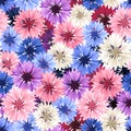 Seamless pattern with colorful cornflowers. Vector illustration.