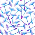 Seamless pattern with colorful flying dandelion seeds or achenes on pappuses drawn on white background. Natural vector