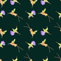 Seamless pattern of colorful flying hummingbirds Royalty Free Stock Photo