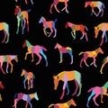 Seamless pattern with colorful foals on black background